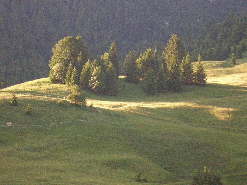 ホテル Alpenhof "Alt Laehn" エクステリア 写真