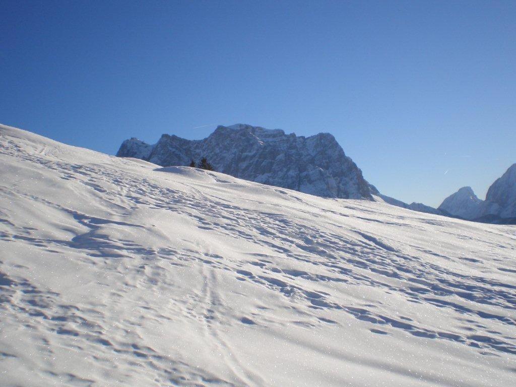 ホテル Alpenhof "Alt Laehn" エクステリア 写真